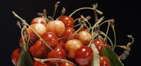 Nature Morte